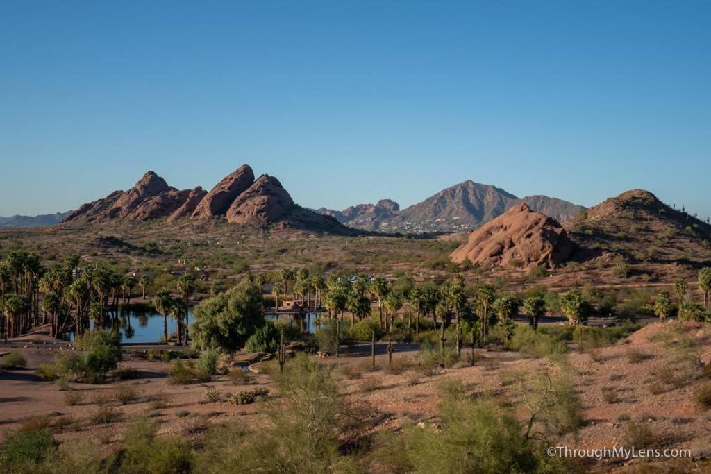 Modern Tempe Home With Heated Pool, Asu 외부 사진
